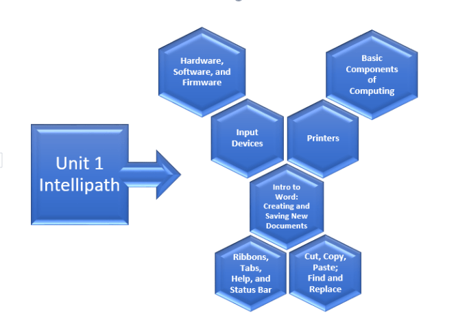 Unit 1 Intellipath Chart